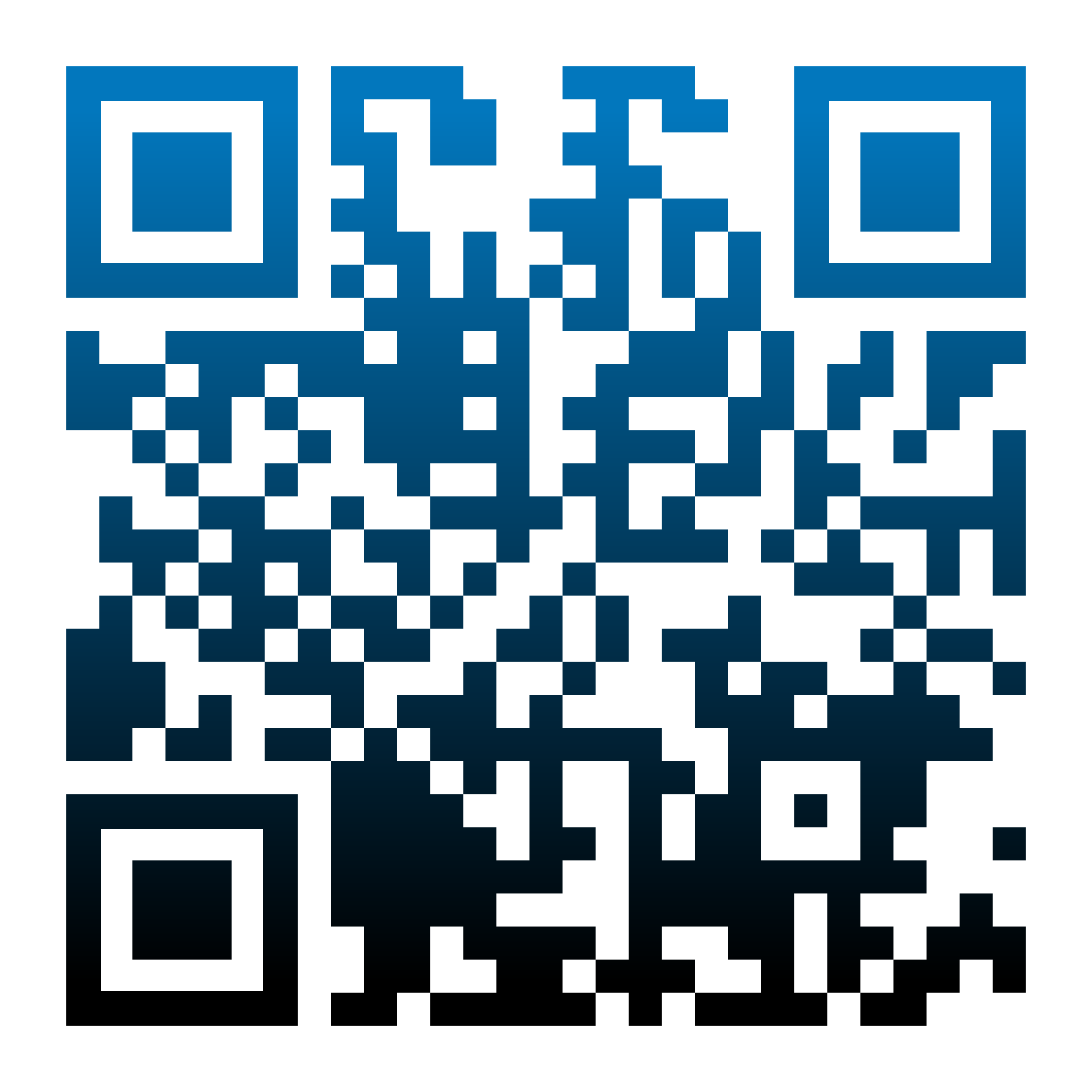 QR Code Preview